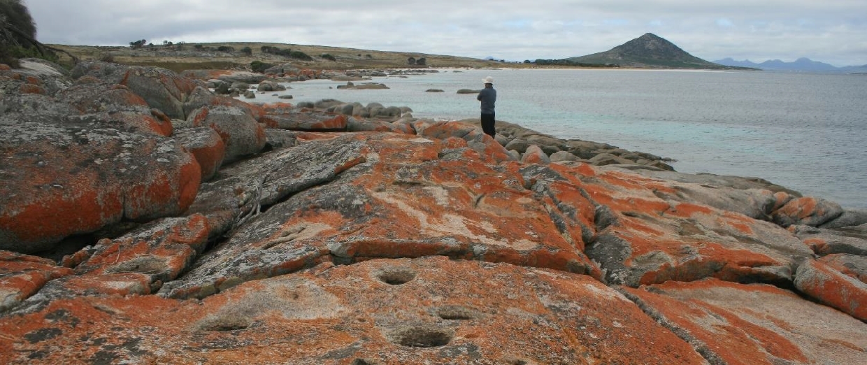 From Badger Island looking across to Mount Chapel Island